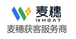 全球买家资源、360度买家背景——麦穗获客 - 宁波艾宇科技有限公司